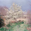 청포마을 이미지