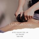 리우(Liu) | 호치민 두피 맛사지샵 후기｜리우스파 LIU SPA &amp; SCALP에서 머리부터 힐링한 하루