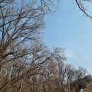 양달바지락칼국수 | 양주 불곡산 초보 등산 코스 임꺽정봉 등린이 등반 후 맛집까지~