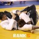 파라에스트라 이미지