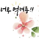 스마트폰 활용&SNS 기초 이미지