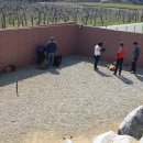 짱오농장 이미지