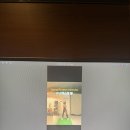 시스템골프아카데미 이미지