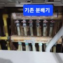 사파동103 이미지