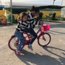 승의농장 이미지