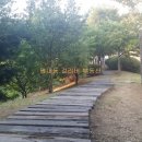 주민 어울림 광장체조 이미지
