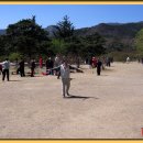 콩쥬 Daum카페