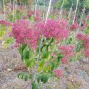 우리농장2 이미지