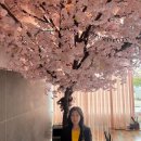 오상무초밥 이미지