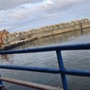 대한민국석형횟집