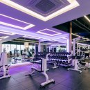 짐샤크 하안점 이미지