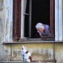 첩첩산중 일기 ~ 이미지