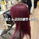뉴코아부천점 | 디얼스 뉴코아아울렛 부천점 : 부천 상동미용실 염색 후기