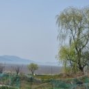 청백부동산공인중개사사무소 이미지