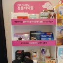 바르다,윤약국 이미지