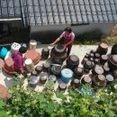 촌닭마을 이미지