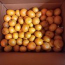 김종열농장 이미지