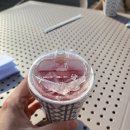 키쏘커피소소원 | 주말 나들이_키쏘커피 예정원 성남 분당 카페