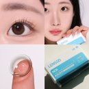 렌시스 노이 브라운 요즘 핫한 모카무스 렌즈로 추천