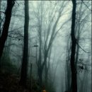 산모퉁이2 이미지