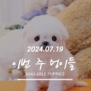 (주)멍이사랑 이미지