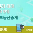 미라클알파부동산중개 이미지