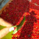 두두농장 이미지