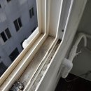 부평드림점 | 인천 부평구 청천동 드림빌라 입주청소박사 후기