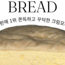 꼬모꼬모