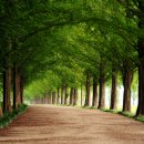 절영종합사회복지관 이미지