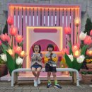 슬로우버드 | 아이랑 대전 오월드 나이트유니버스, 버드랜드, 주차장팁