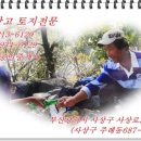 신대성공인중개사사무소 이미지