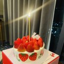 돌산읍 하동마을 경로당 | 🌸 하동 매화꽃축제 &amp; 여수 라마다 프라자 호텔