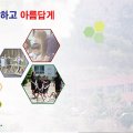 대우초등학교 이미지