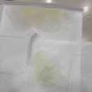 씽씽 동물의료센터 이미지