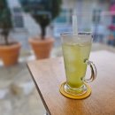 햇살농원 애견 이미지