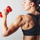 핏-타운 이미지