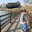 고모리 저수지광장 이미지