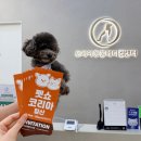 (주)펫스테이트 | 인천 송도 [24시송도오케이동물의료센터] 방문 후기 + 펫쇼코리아 초청장 나눔