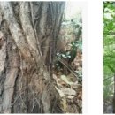 송담3로 이미지