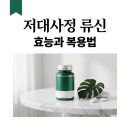지나얼라인 | 디스얼라인 저대사정 류신 효능 5가지와 부작용 복용법 총정리