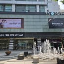 모들