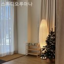 루아나 이미지