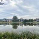 양수리전통시장 이미지