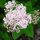 대성목장 이미지