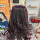정환헤어샵
