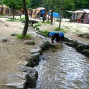 비로야영장 이미지