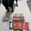 옐로우 켄넬 | 2025 케이펫페어 수원 시즌 3 내돈내산