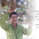 장영농장 네이버블로그