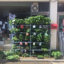 서울농약사 이미지